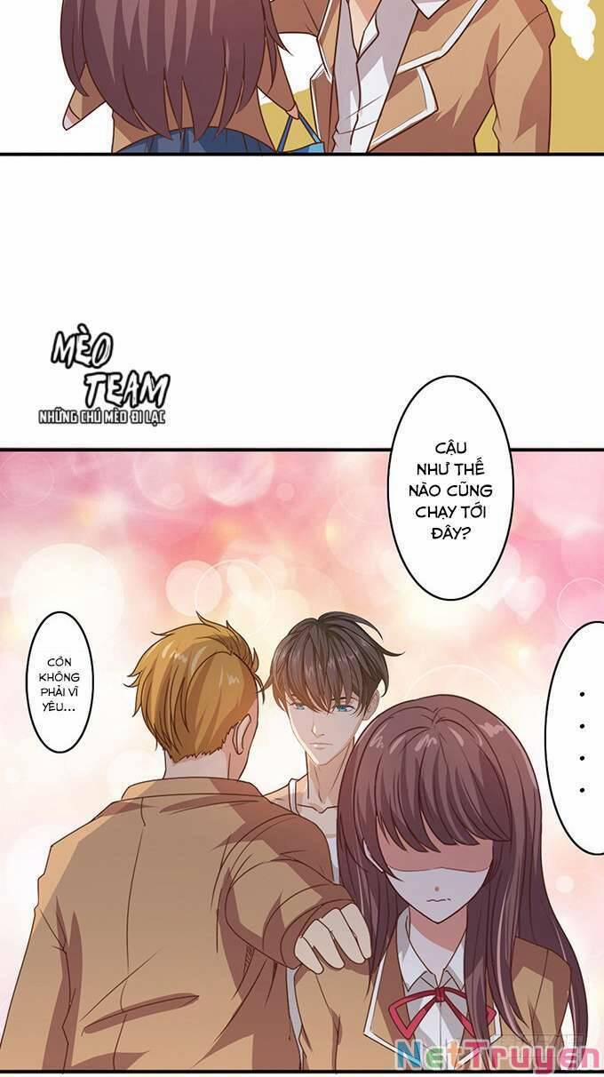 Tình Yêu Ba Tuyến 17 trang 64