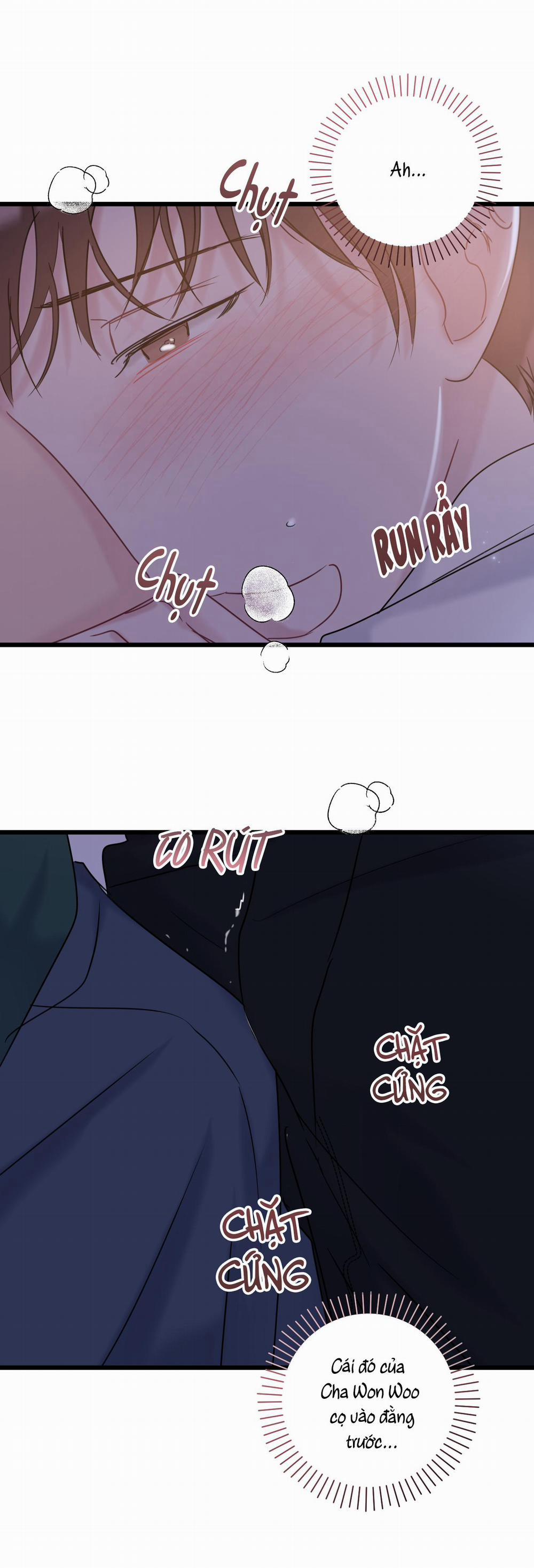 Tình Yêu Bình Dị Nhất 18 trang 24