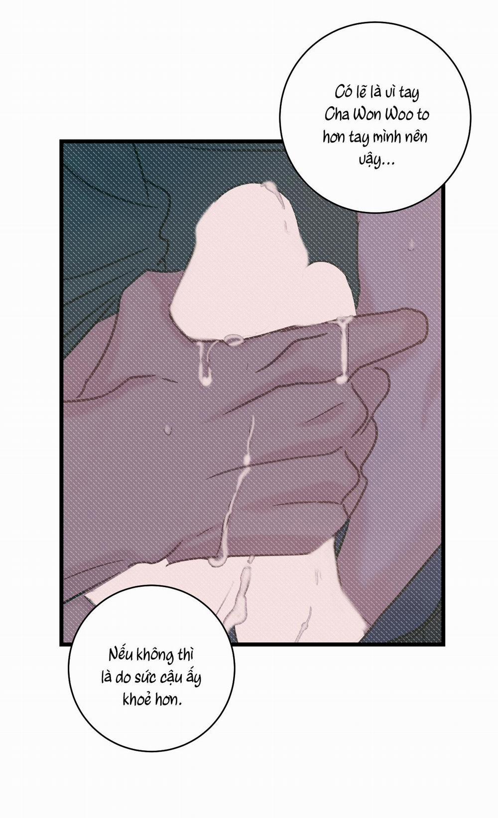 Tình Yêu Bình Dị Nhất 19 trang 7