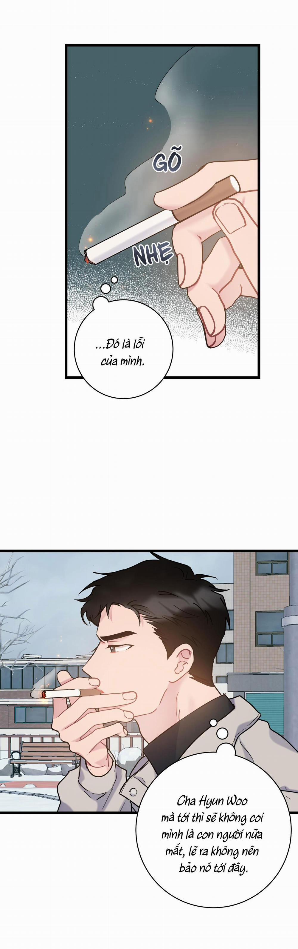 Tình Yêu Bình Dị Nhất 26 trang 8