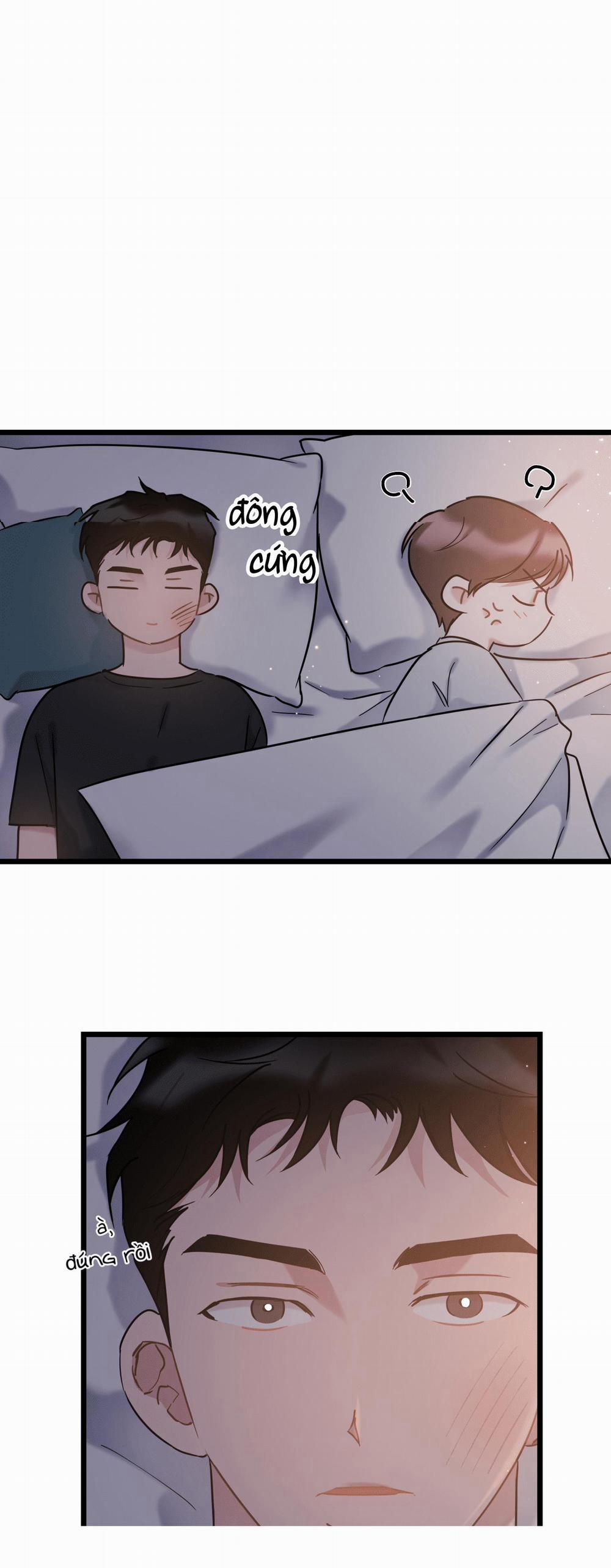 Tình Yêu Bình Dị Nhất 28 trang 5