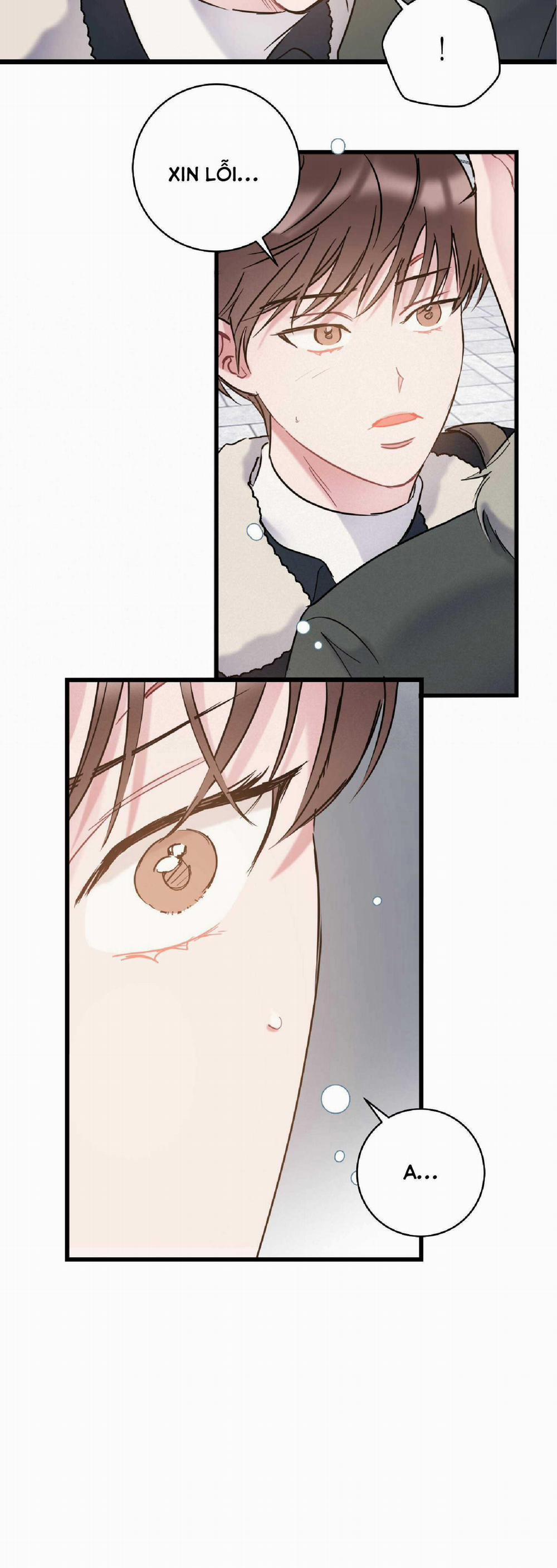 Tình Yêu Bình Dị Nhất 31 trang 52