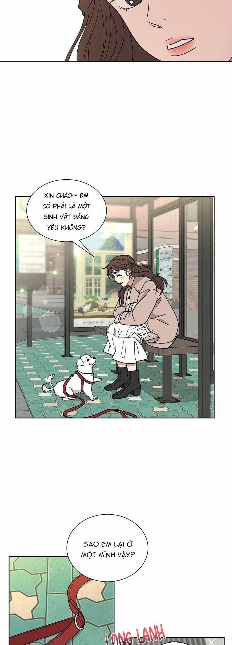 Tình Yêu Chỉ Mình Em Biết 43 trang 17