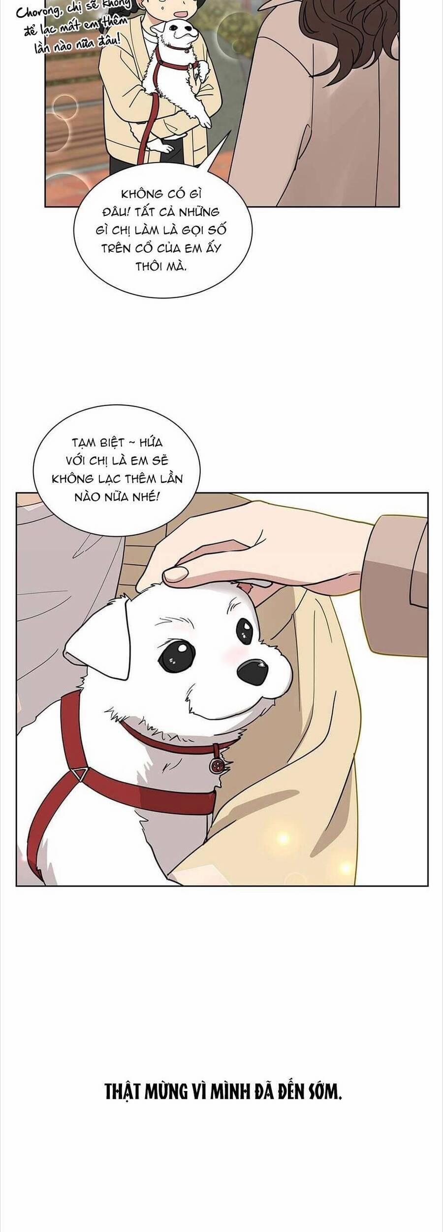 Tình Yêu Chỉ Mình Em Biết 43 trang 19