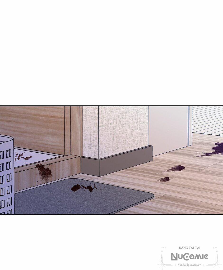 Tình Yêu Chỉ Mình Em Biết 66 trang 43