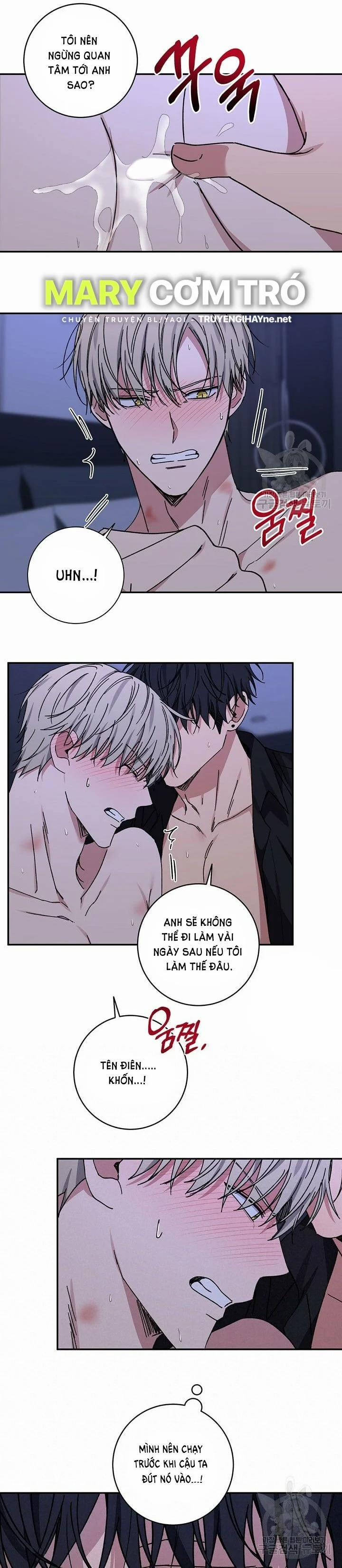Tình Yêu Đen Đủi 44.2 trang 0