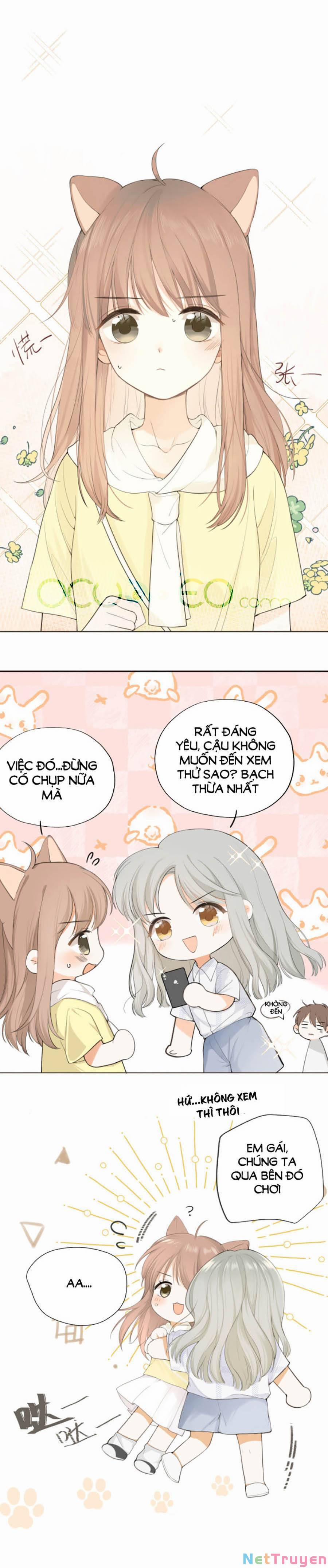 Tình Yêu Duy Nhất Của Tôi 12 trang 0