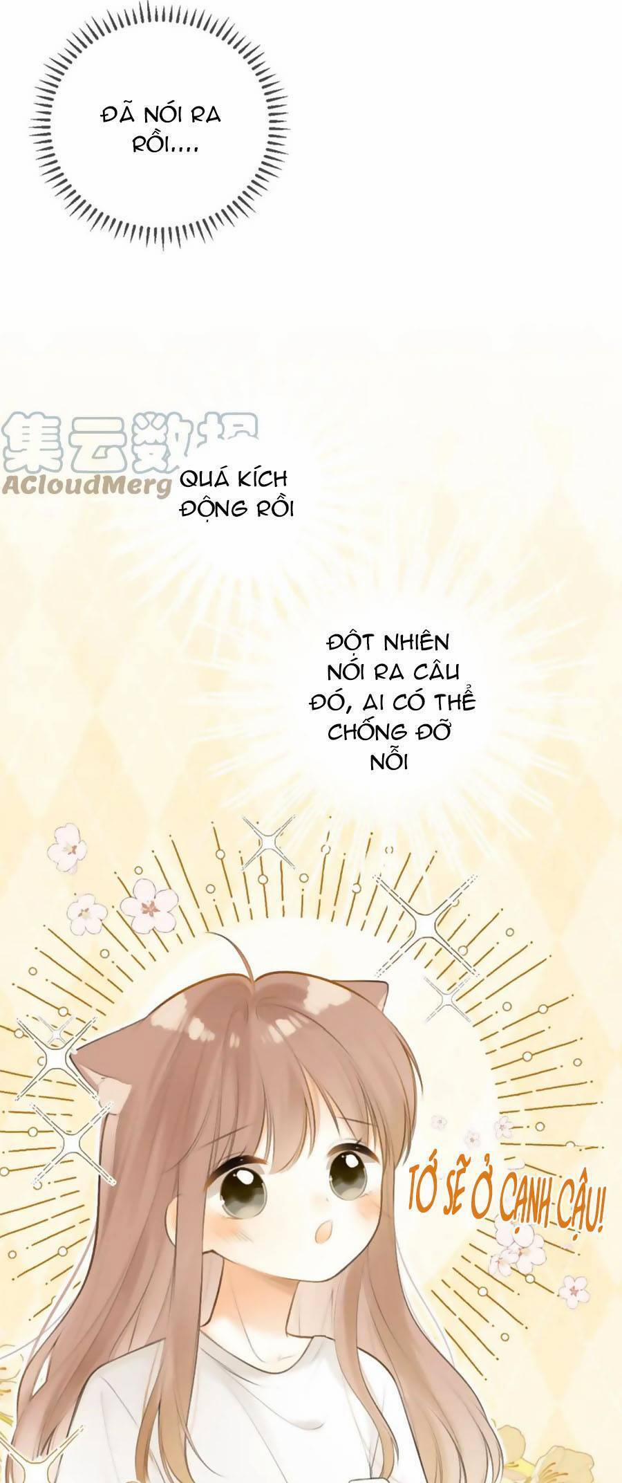 Tình Yêu Duy Nhất Của Tôi 40 trang 28