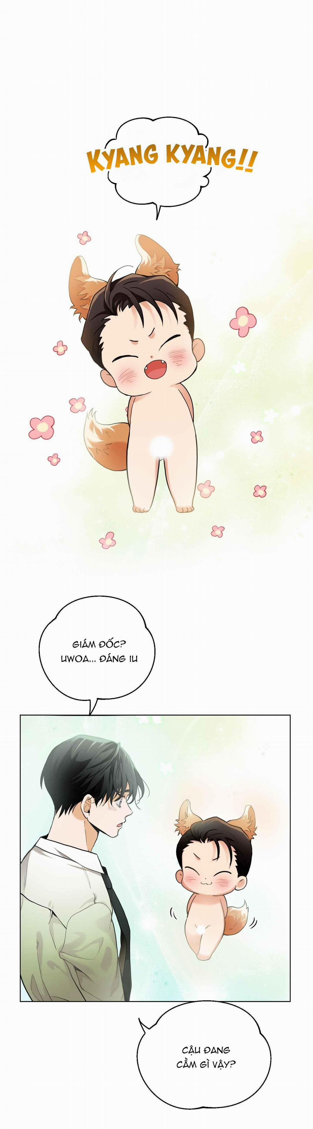 TÌNH YÊU LÔNG CHÓ 11 nt2 trang 0