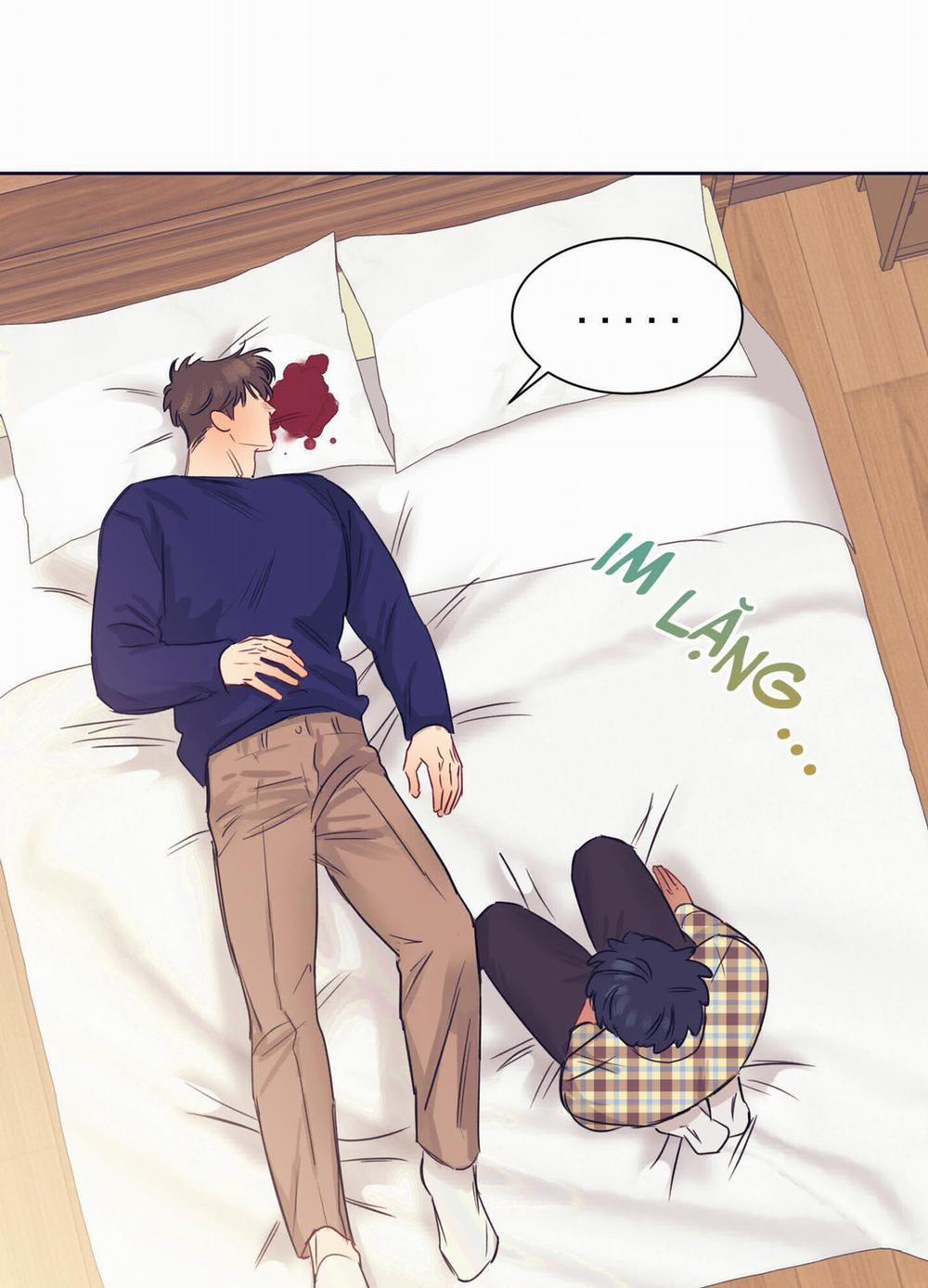 Tình Yêu Lụi Tàn 11 trang 13