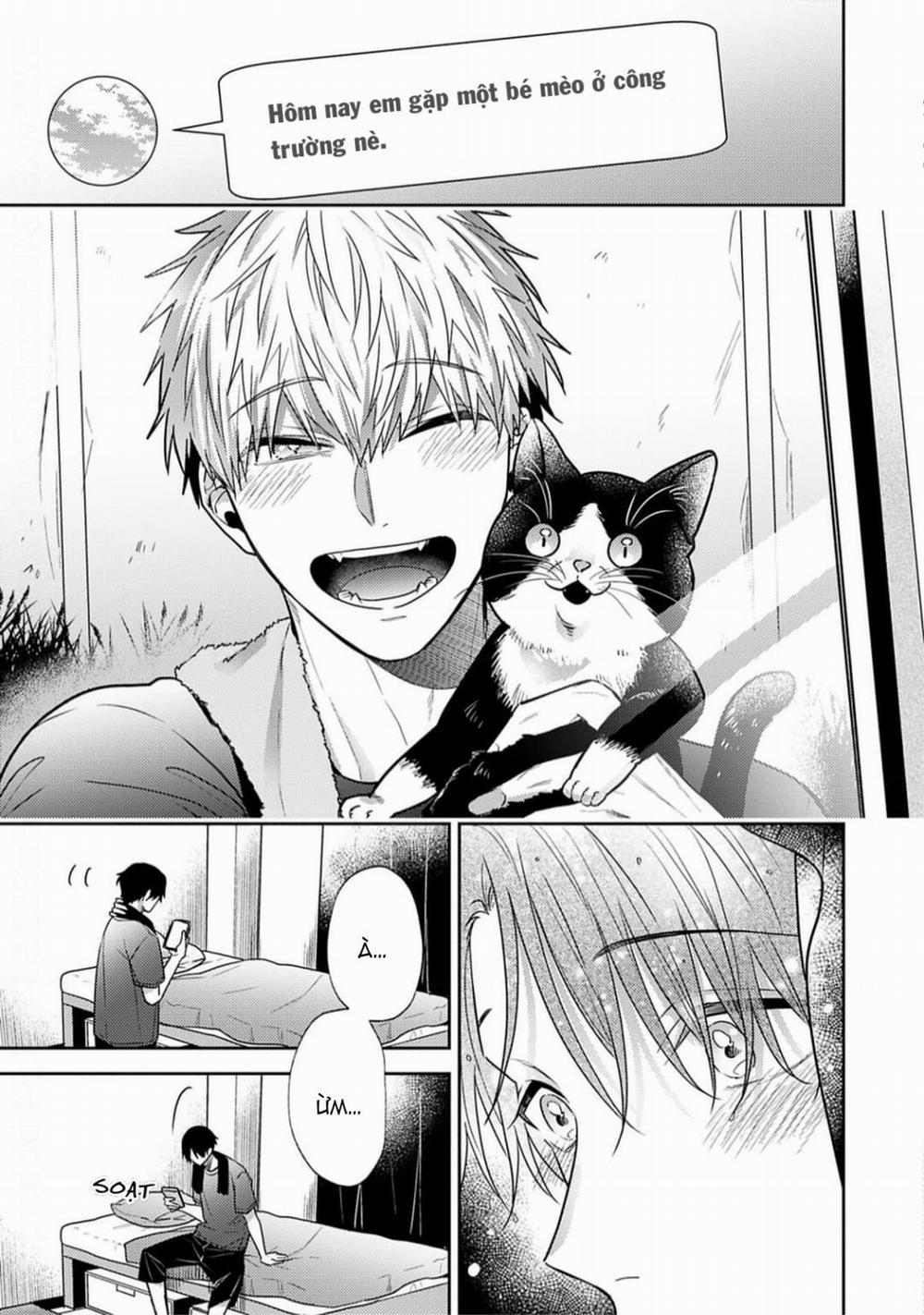 Tình Yêu Này Thực Sự Quá Ngọt Ngào Rồi 4 trang 28