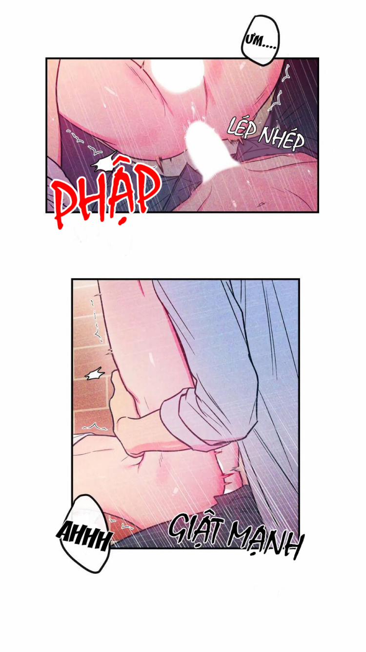 Tình Yêu Ngây Ngô 2 trang 14