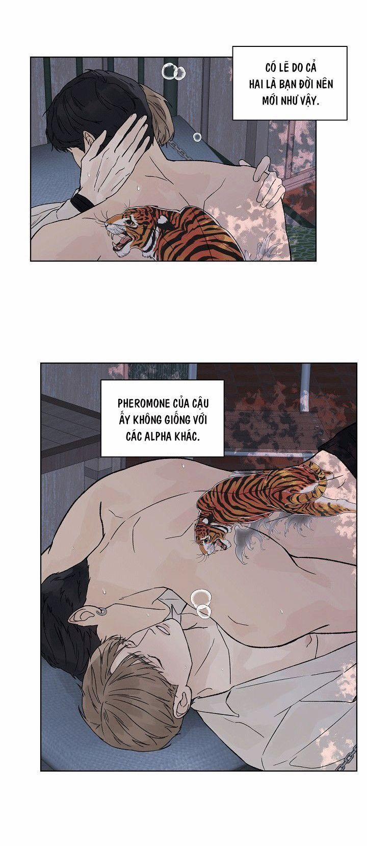 Tình Yêu Nồng Cháy 52 NGOẠI TRUYỆN 5 trang 25