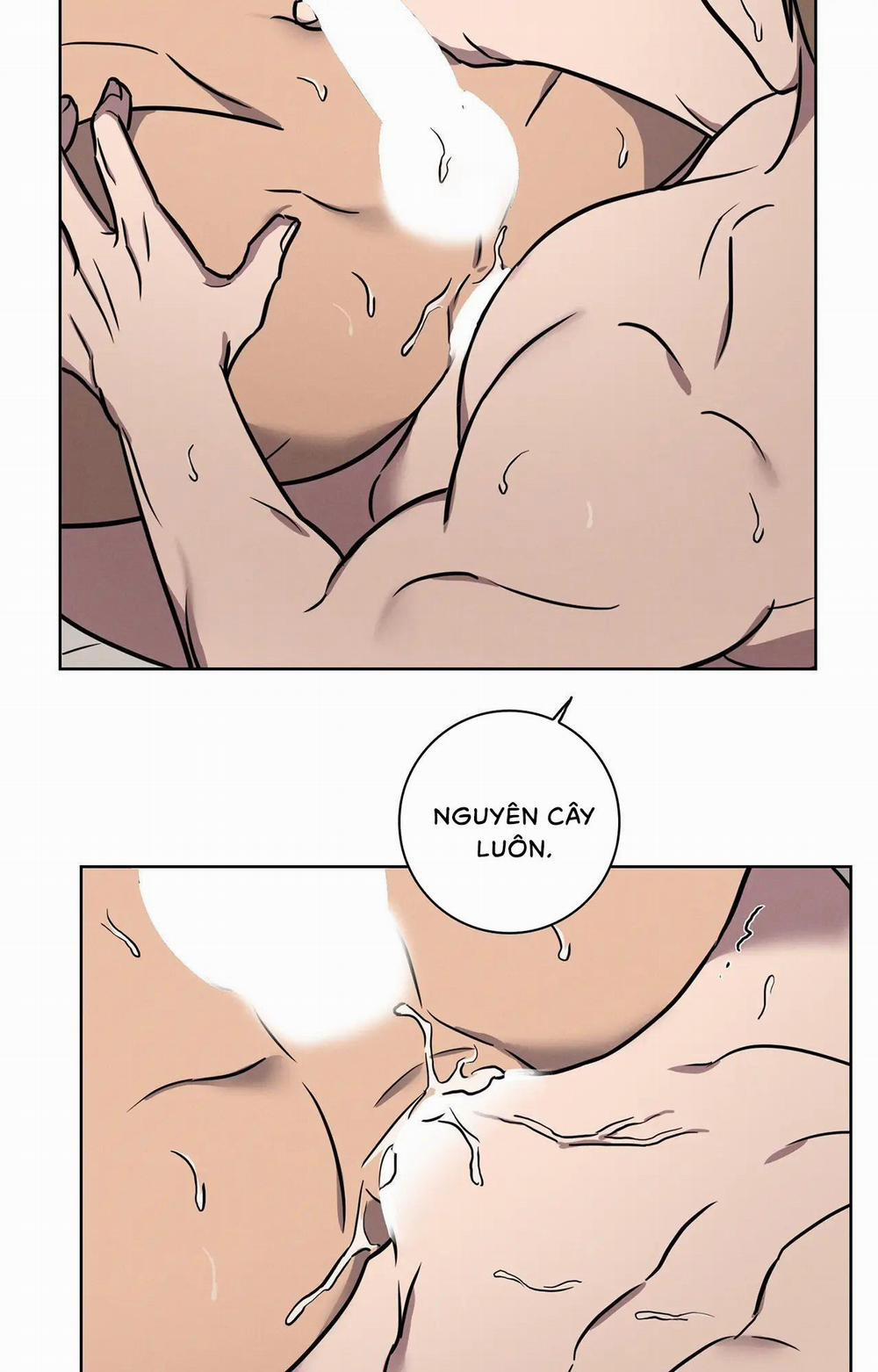 Tình Yêu Ở Phòng Gym 8 H+ trang 34