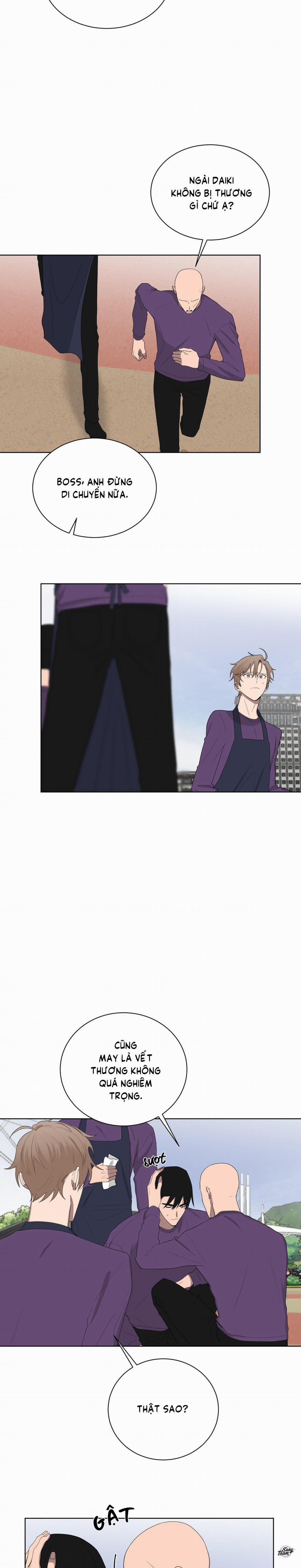 Tình Yêu YAKUZA 102 trang 12