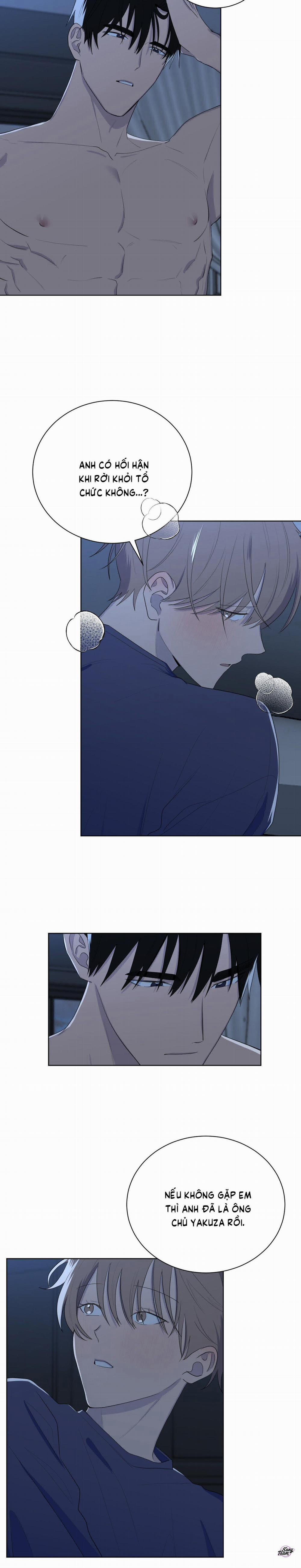 Tình Yêu YAKUZA 107 trang 15