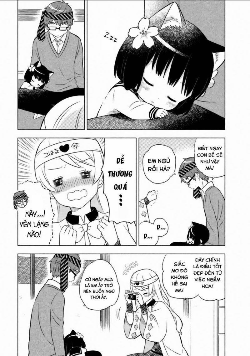 Tớ Là Mèo Kohana 6 trang 14