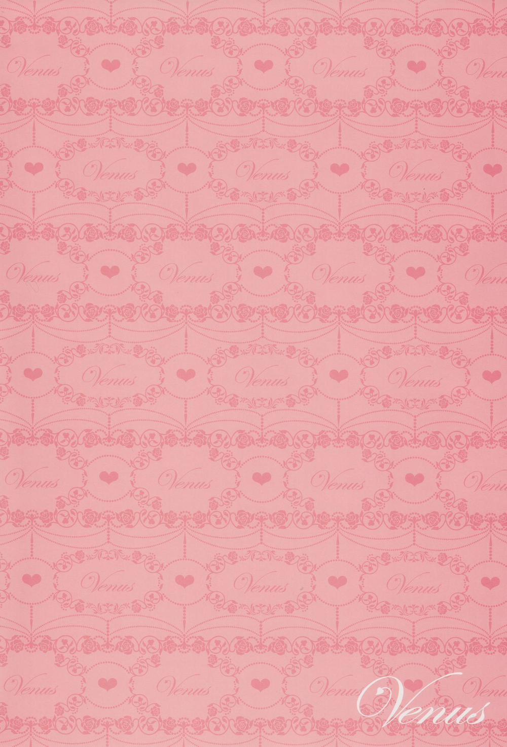 To Love-Ru Darkness Gashuu Venus Artist 1 trang 4