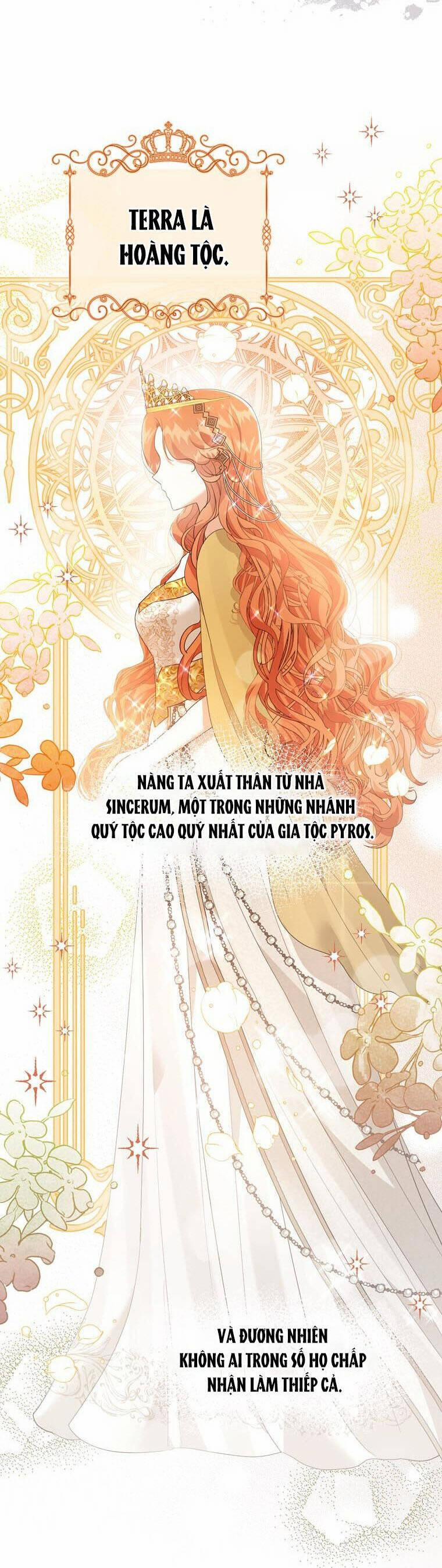 Tỏa Sáng Rực Rỡ 25.1 trang 14