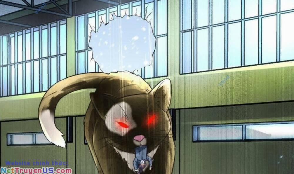 Toàn Cầu Băng Phong: Ta Chế Tạo Phòng An Toàn Tại Tận Thế 147 trang 16