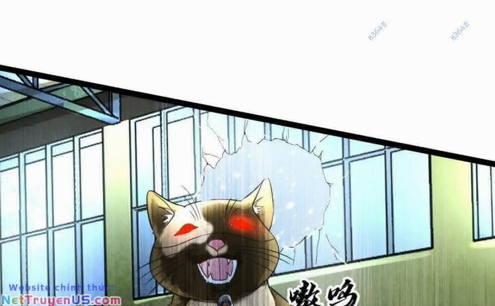 Toàn Cầu Băng Phong: Ta Chế Tạo Phòng An Toàn Tại Tận Thế 147 trang 20