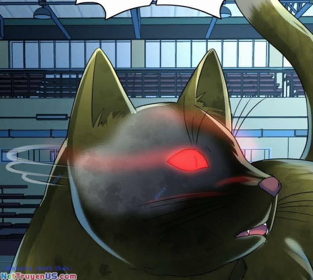 Toàn Cầu Băng Phong: Ta Chế Tạo Phòng An Toàn Tại Tận Thế 148 trang 28