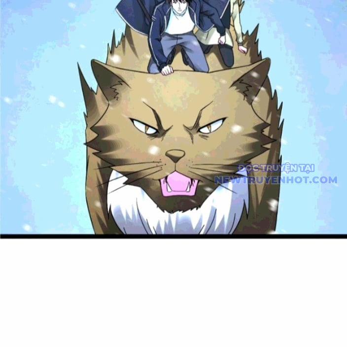 Toàn Cầu Băng Phong: Ta Chế Tạo Phòng An Toàn Tại Tận Thế 627 trang 17