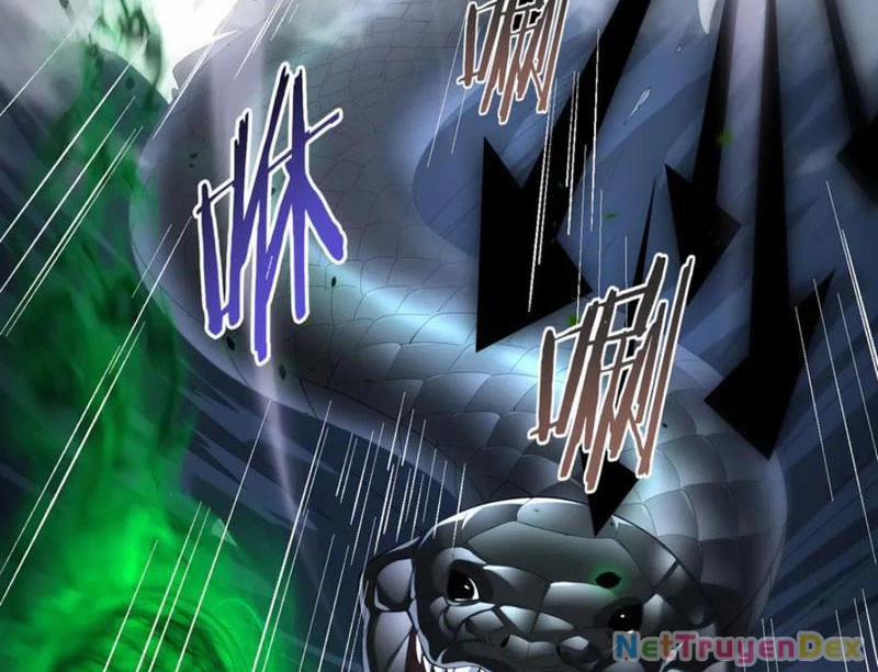 Toàn Dân Chuyển Chức: Ngự Long Sư Là Chức Nghiệp Yếu Nhất? 81 trang 98