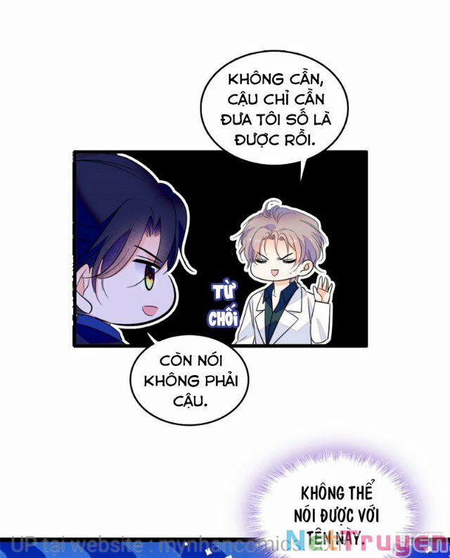 Toàn Mạng Đều Là Fan Cp Của Tôi Với Ảnh Đế 107 trang 15