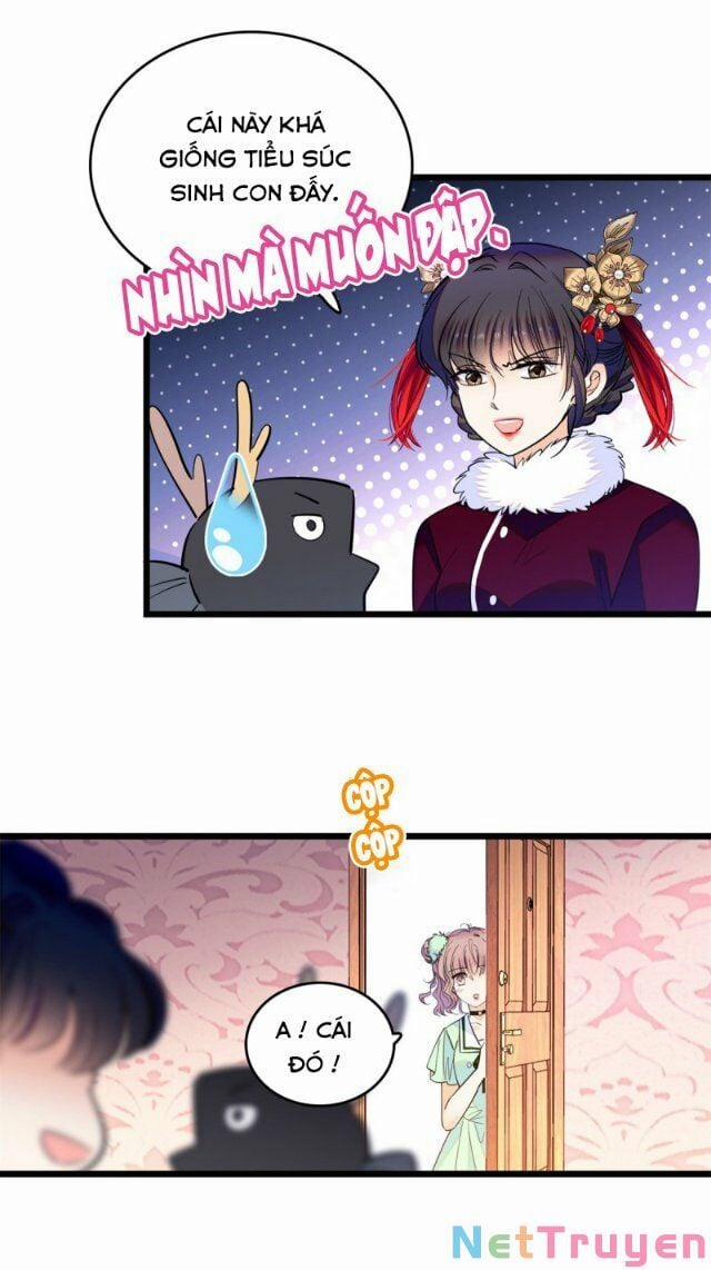 Toàn Mạng Đều Là Fan Cp Của Tôi Với Ảnh Đế 116 trang 24