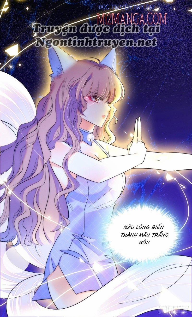 Toàn Mạng Đều Là Fan Cp Của Tôi Với Ảnh Đế 123 trang 22