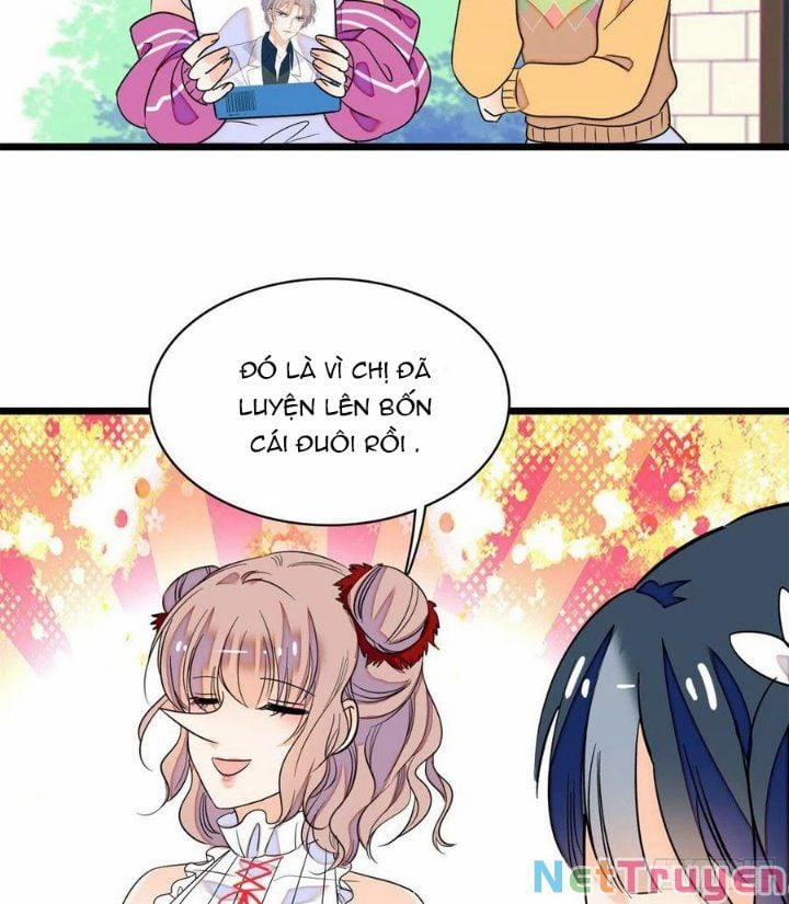 Toàn Mạng Đều Là Fan Cp Của Tôi Với Ảnh Đế 127 trang 11