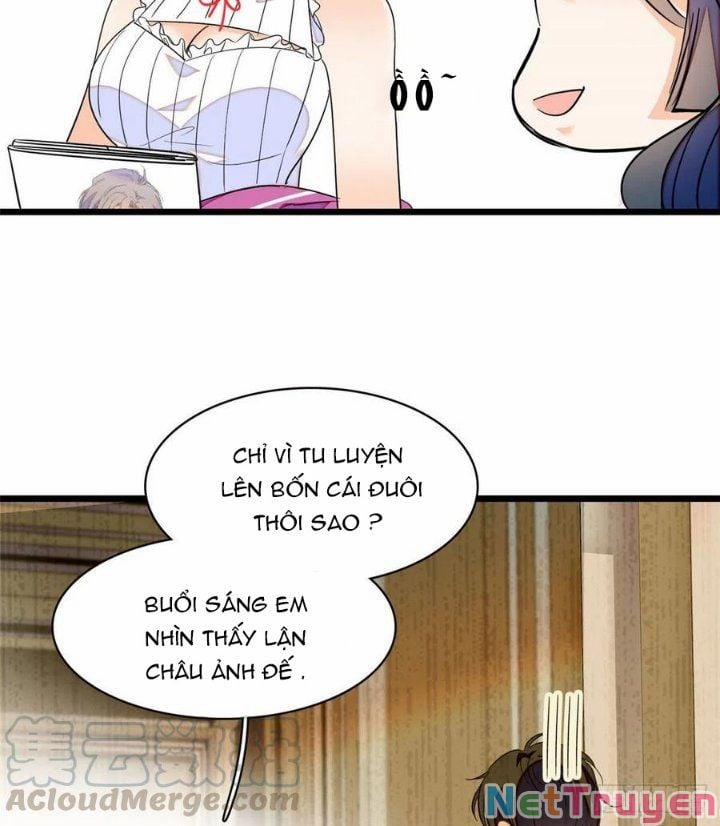 Toàn Mạng Đều Là Fan Cp Của Tôi Với Ảnh Đế 127 trang 12