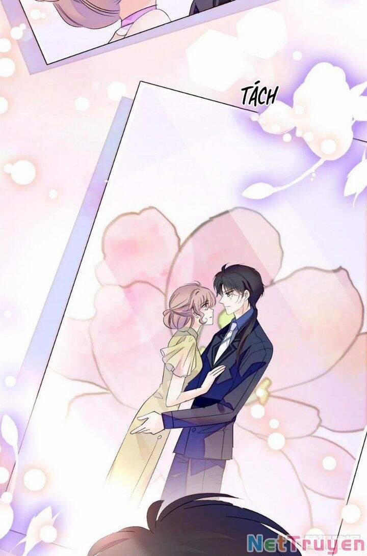 Toàn Mạng Đều Là Fan Cp Của Tôi Với Ảnh Đế 133 trang 27