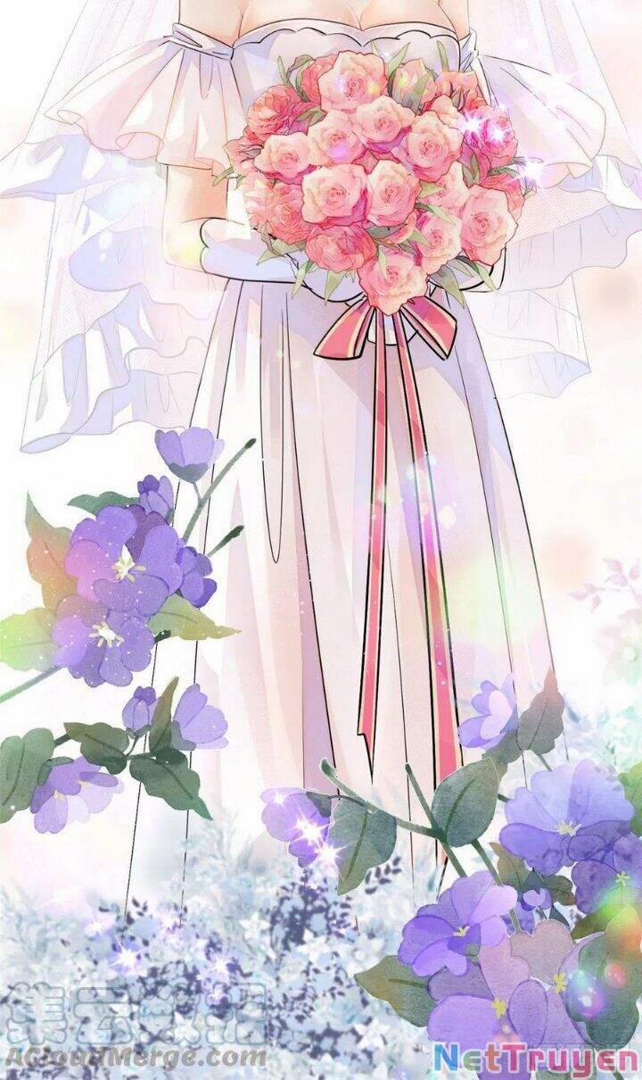 Toàn Mạng Đều Là Fan Cp Của Tôi Với Ảnh Đế 133 trang 40