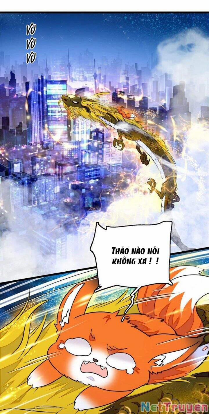 Toàn Mạng Đều Là Fan Cp Của Tôi Với Ảnh Đế 134 trang 25