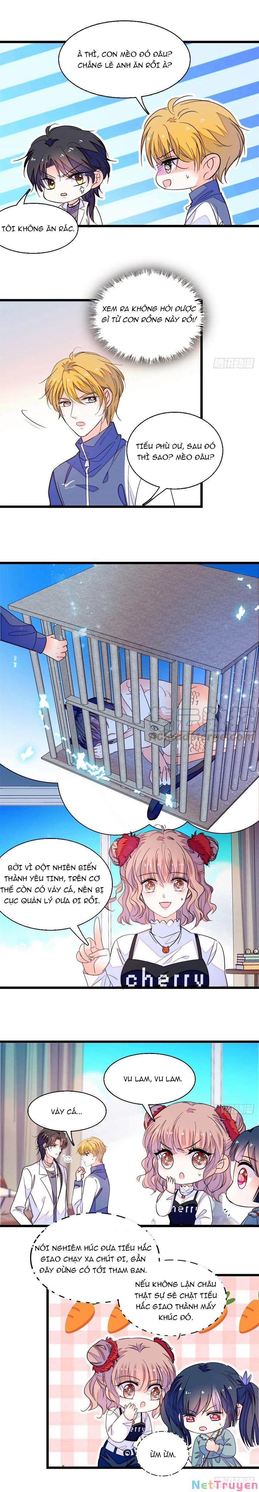 Toàn Mạng Đều Là Fan Cp Của Tôi Với Ảnh Đế 152 trang 2