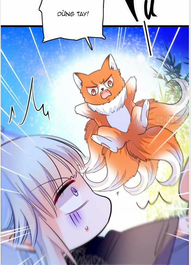 Toàn Mạng Đều Là Fan Cp Của Tôi Với Ảnh Đế 190.2 trang 17