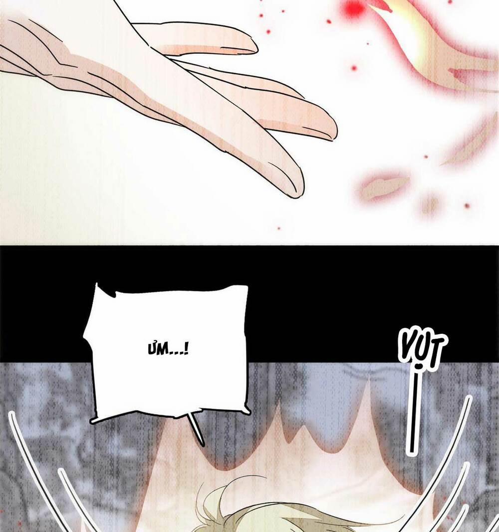 Toàn Mạng Đều Là Fan Cp Của Tôi Với Ảnh Đế 215 trang 17