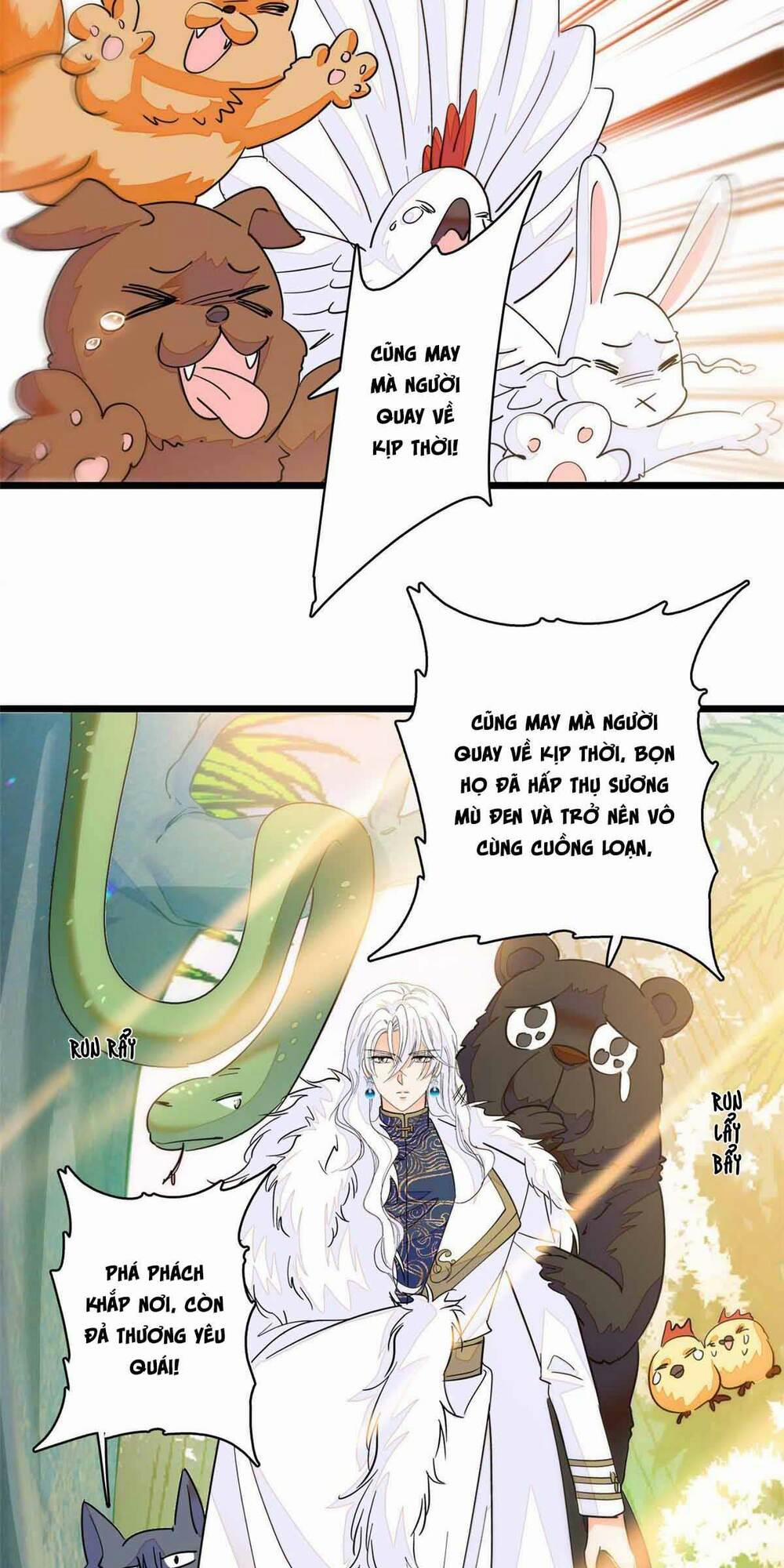 Toàn Mạng Đều Là Fan Cp Của Tôi Với Ảnh Đế 240 trang 5