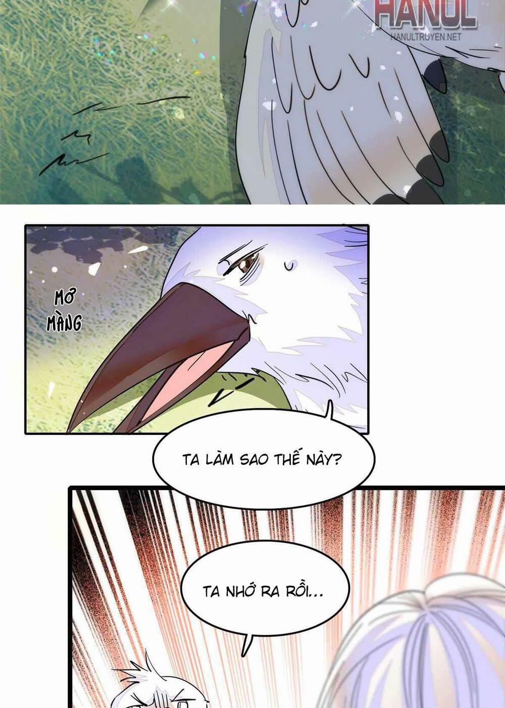 Toàn Mạng Đều Là Fan Cp Của Tôi Với Ảnh Đế 240 trang 7