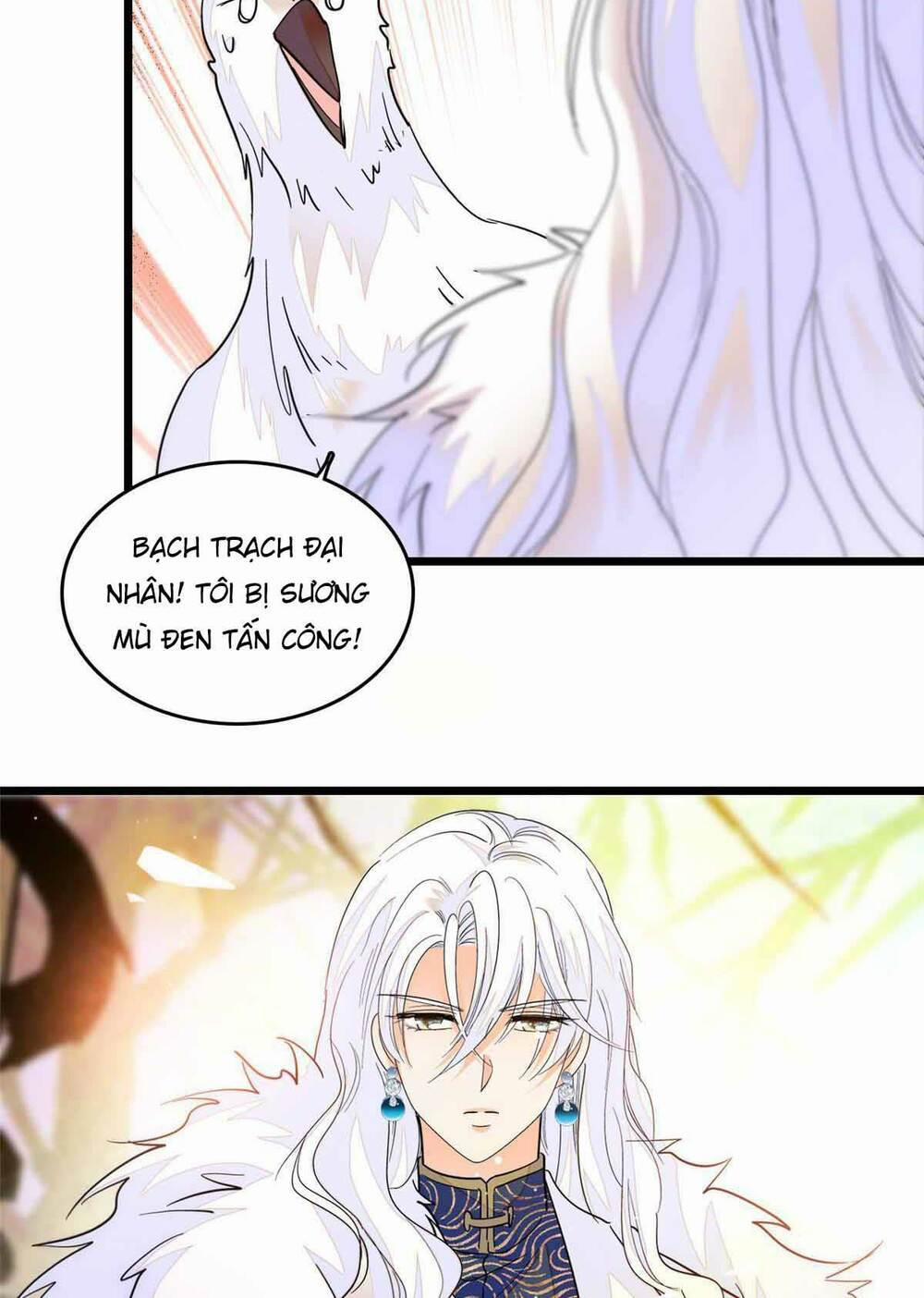 Toàn Mạng Đều Là Fan Cp Của Tôi Với Ảnh Đế 240 trang 8