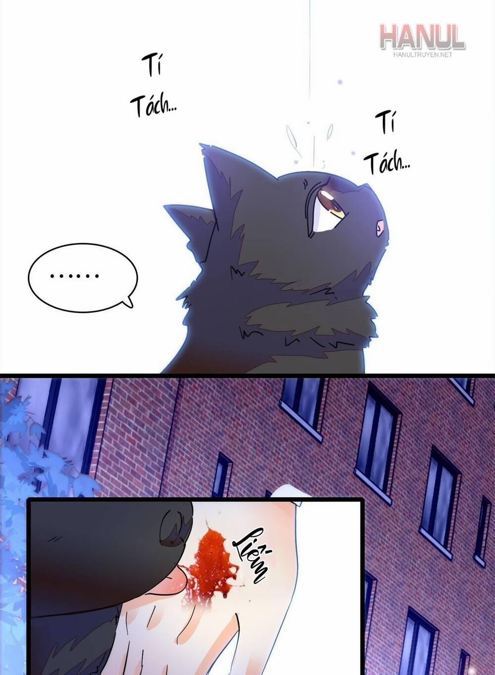 Toàn Mạng Đều Là Fan Cp Của Tôi Với Ảnh Đế 247 trang 10