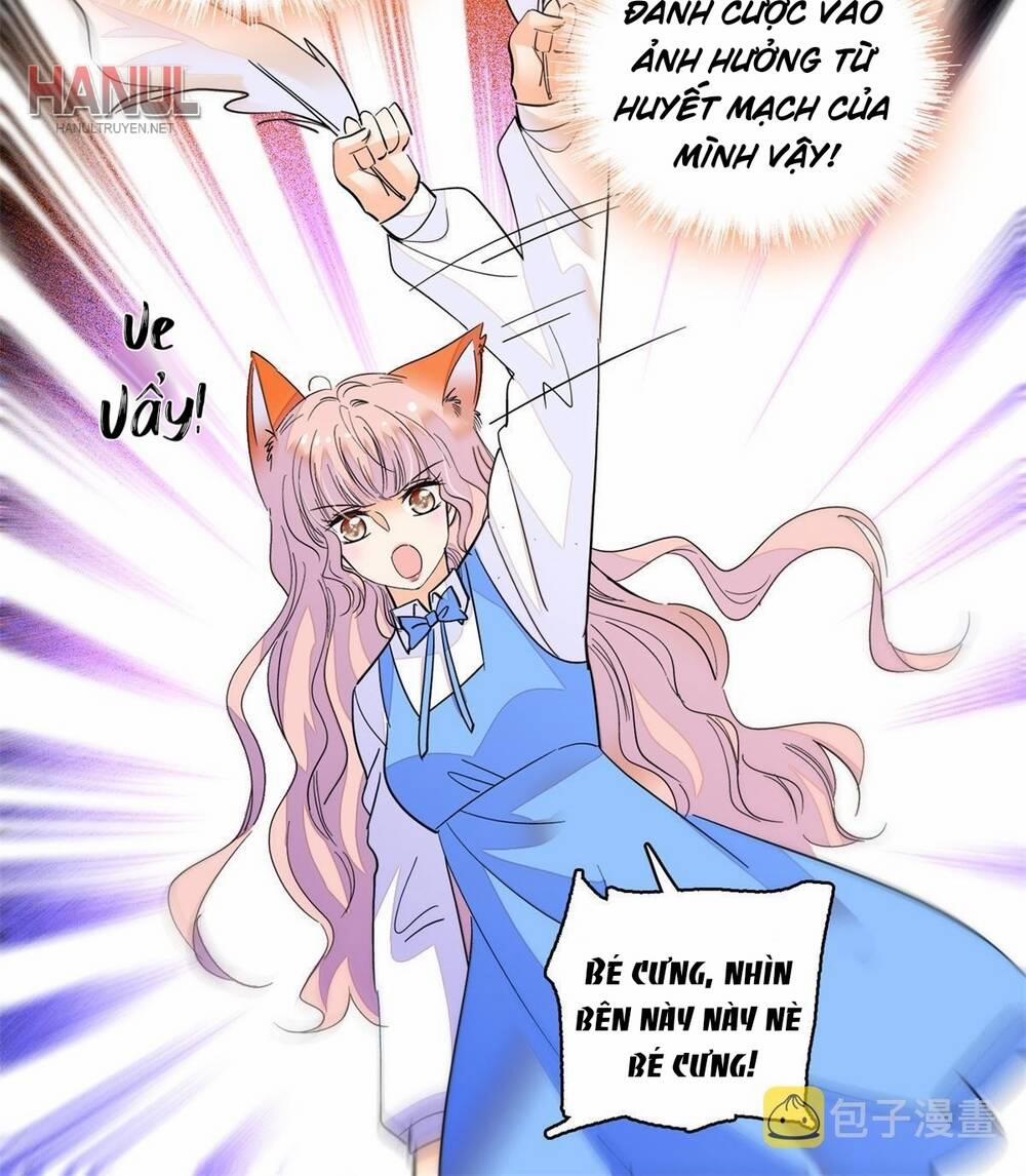 Toàn Mạng Đều Là Fan Cp Của Tôi Với Ảnh Đế 247 trang 19