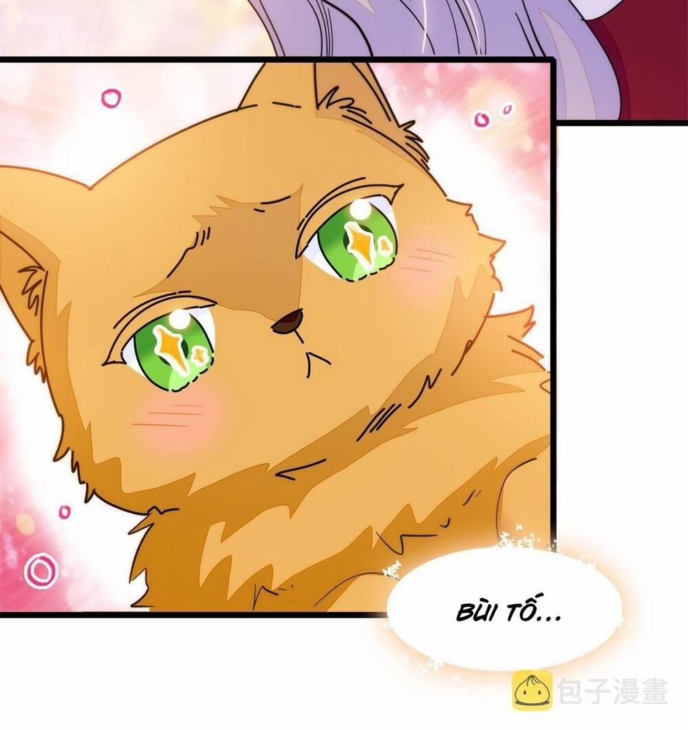 Toàn Mạng Đều Là Fan Cp Của Tôi Với Ảnh Đế 249 trang 15