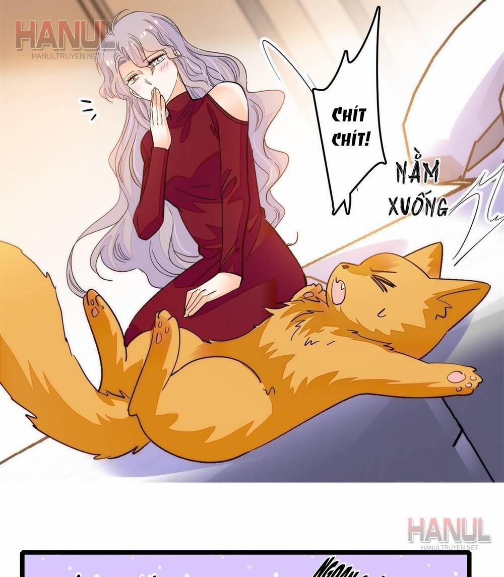 Toàn Mạng Đều Là Fan Cp Của Tôi Với Ảnh Đế 249 trang 22