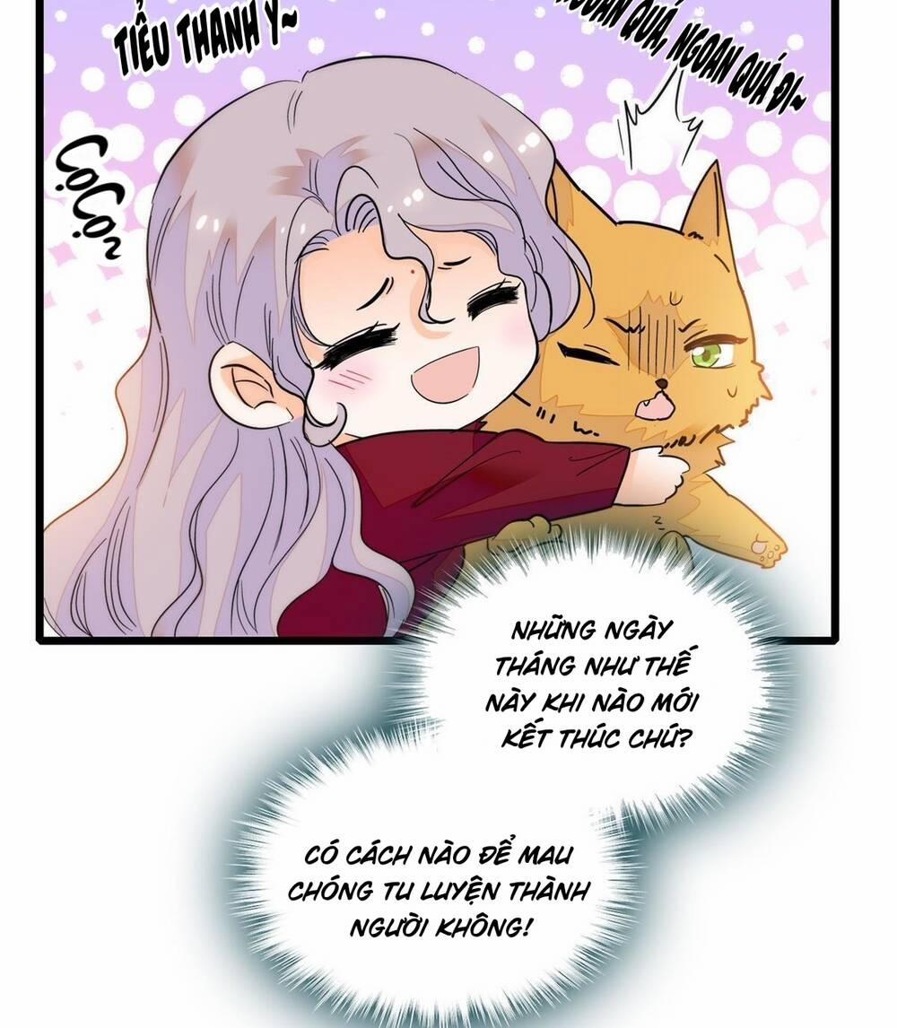 Toàn Mạng Đều Là Fan Cp Của Tôi Với Ảnh Đế 249 trang 23