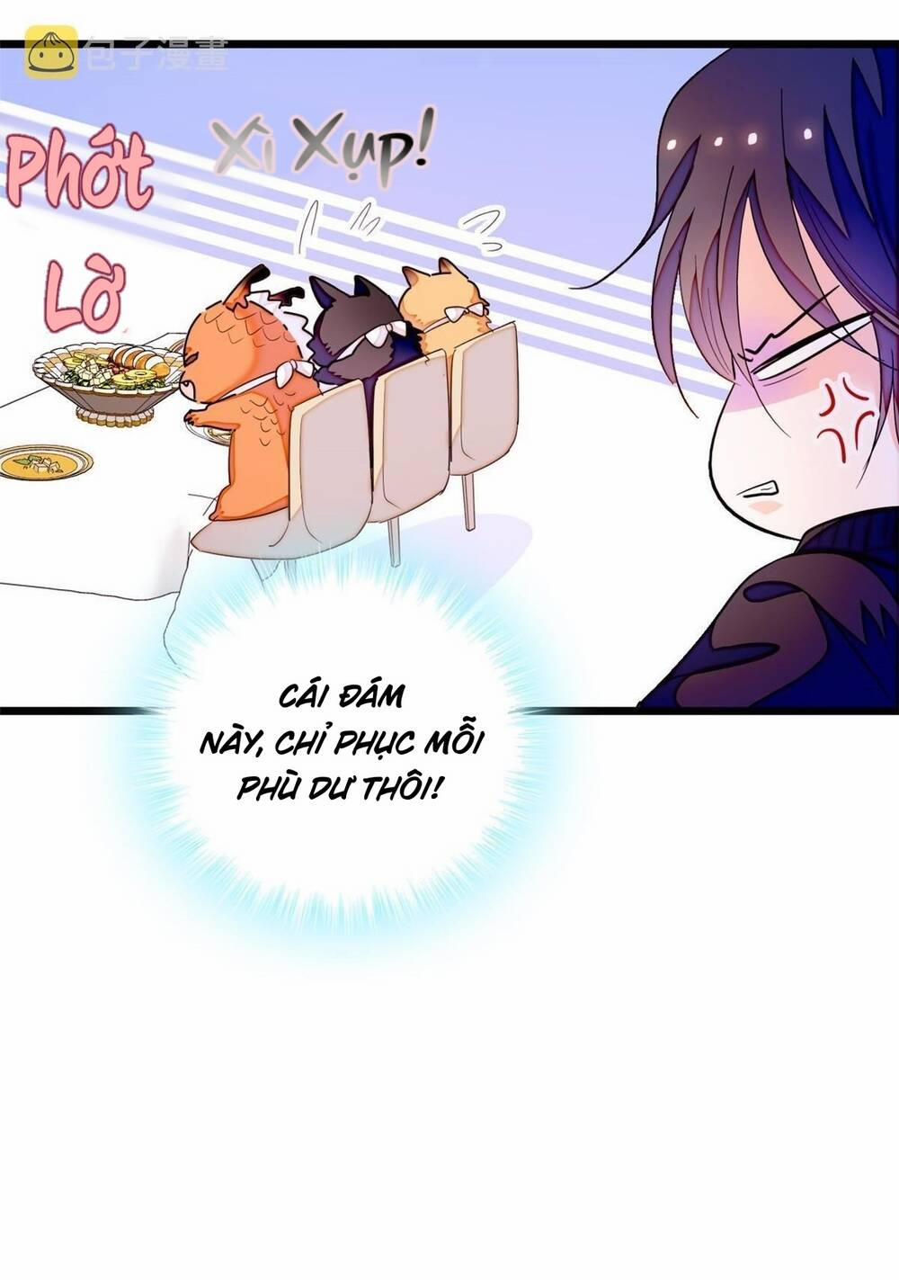 Toàn Mạng Đều Là Fan Cp Của Tôi Với Ảnh Đế 256 trang 19