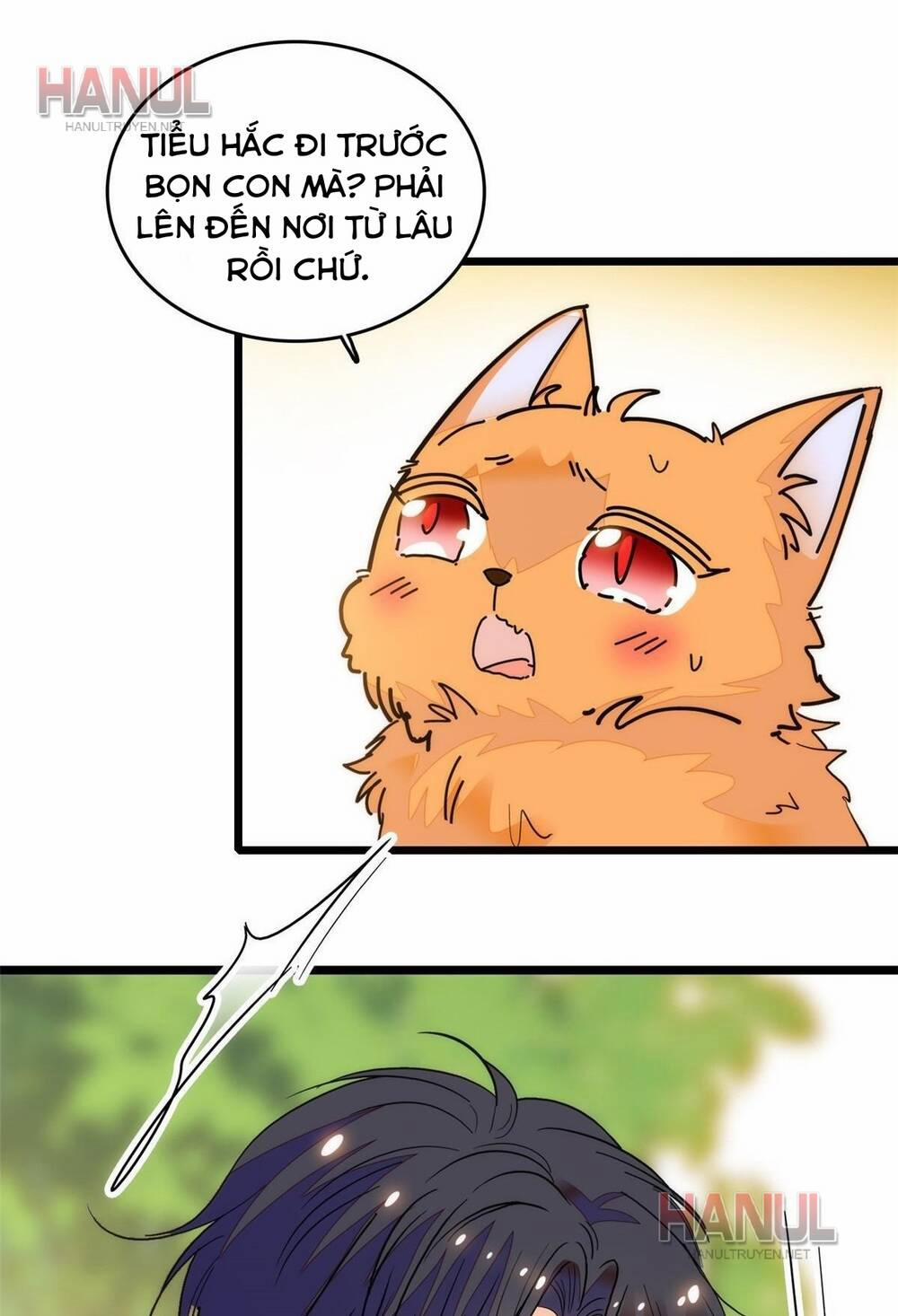 Toàn Mạng Đều Là Fan Cp Của Tôi Với Ảnh Đế 257 trang 52