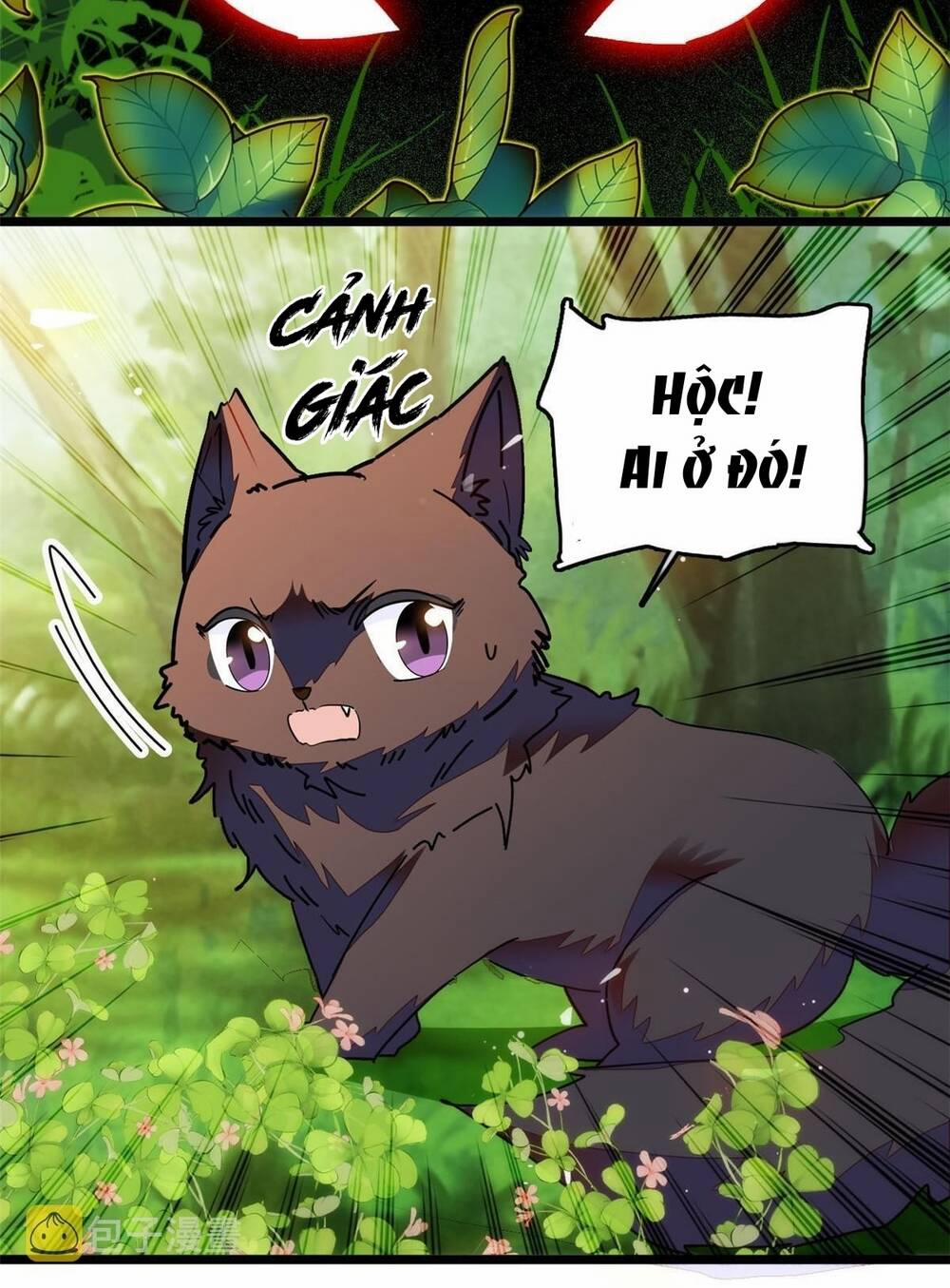 Toàn Mạng Đều Là Fan Cp Của Tôi Với Ảnh Đế 258 trang 4